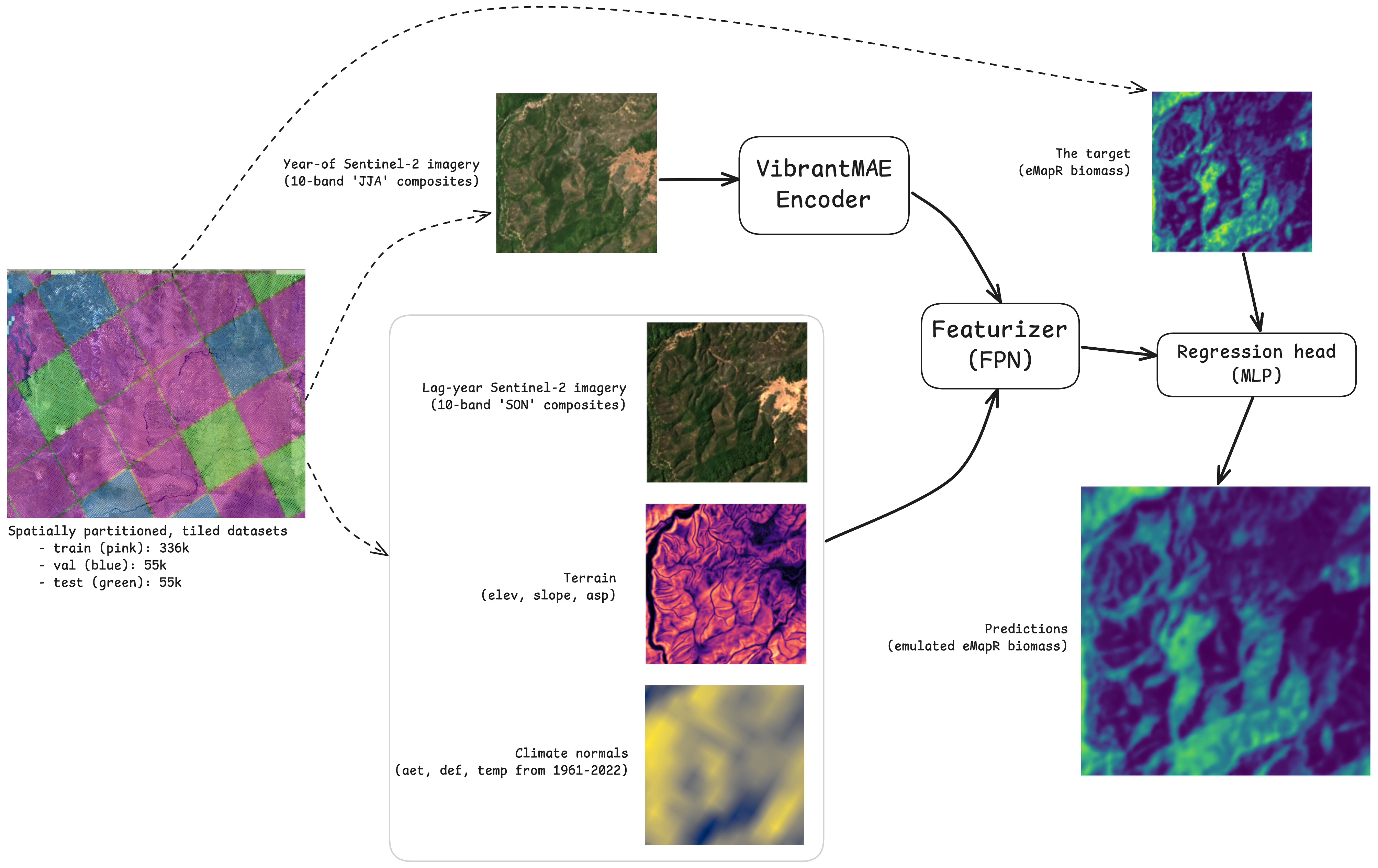 Biomass Model Diagram